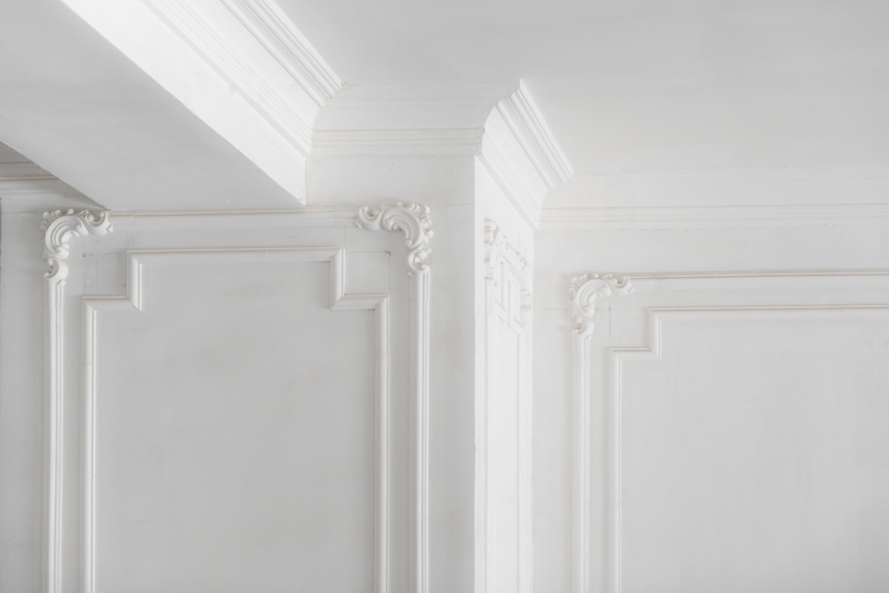 Plaster Molding in the Room
